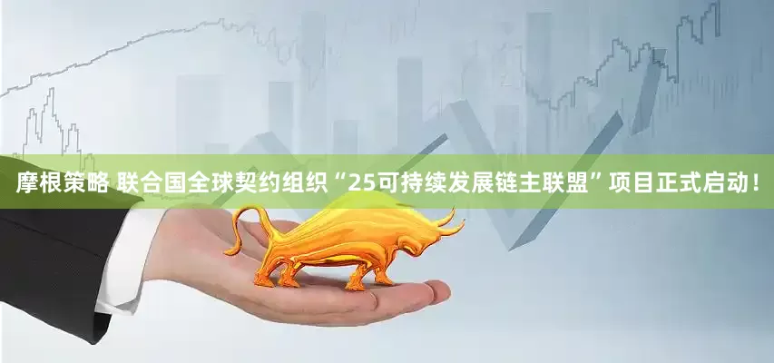 摩根策略 联合国全球契约组织“25可持续发展链主联盟”项目正式启动！