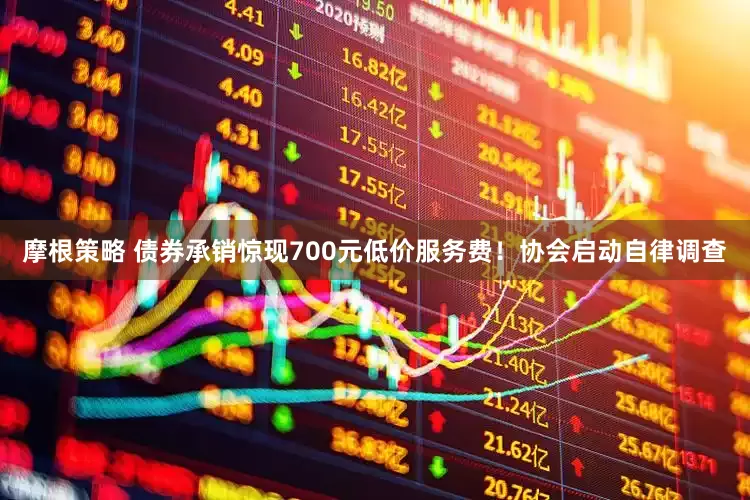 摩根策略 债券承销惊现700元低价服务费！协会启动自律调查