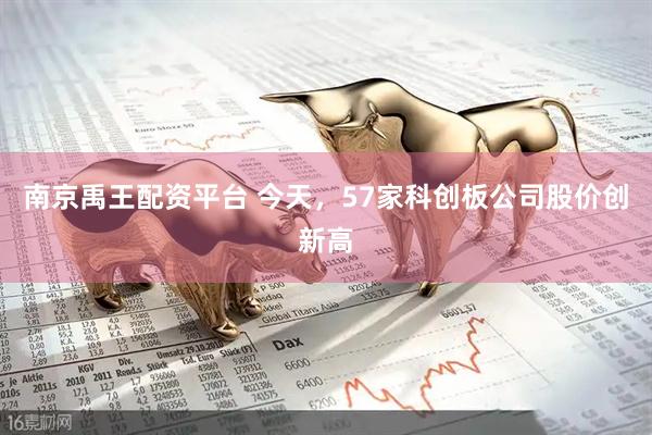 南京禹王配资平台 今天，57家科创板公司股价创新高